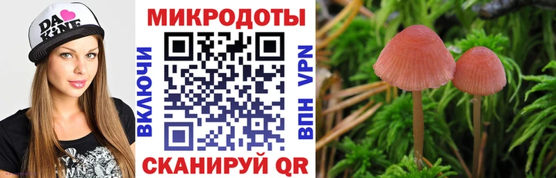 Псилоцибиновые грибы Cubensis Сусуман